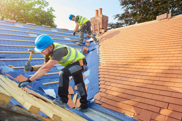 Best Roof Maintenance and Cleaning  in De Soto, KS
